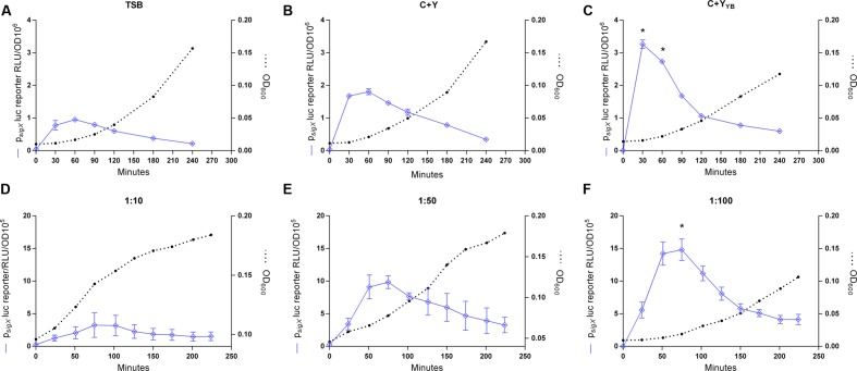 FIGURE 2