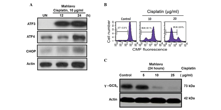 Figure 3.