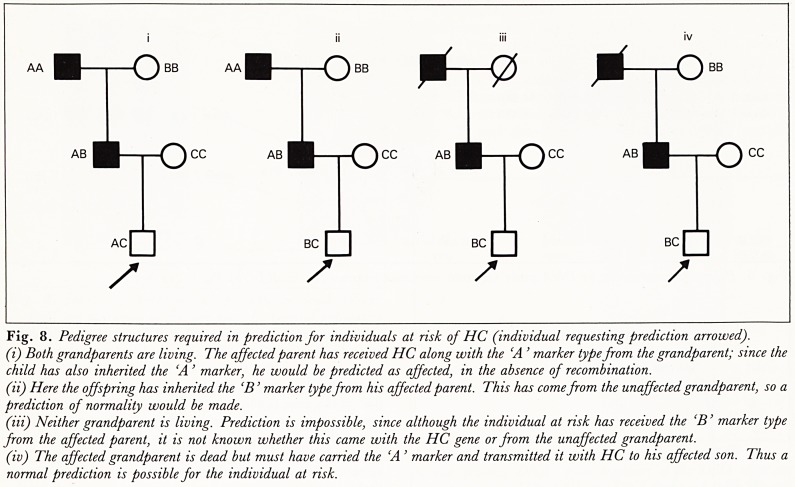 Fig. 8.