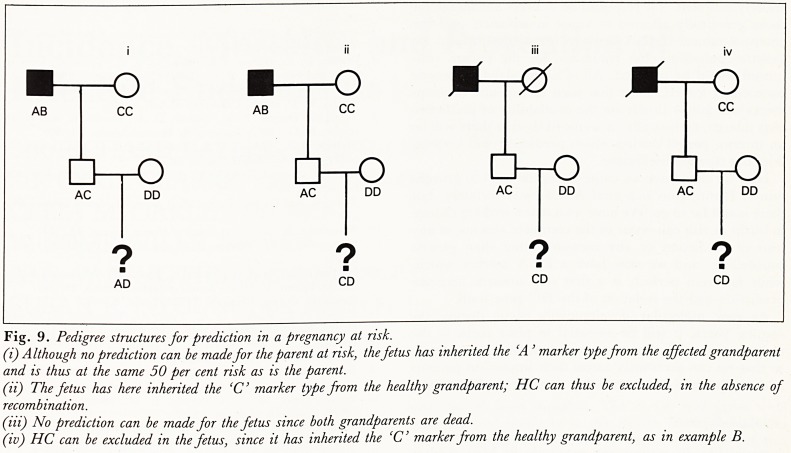 Fig. 9.