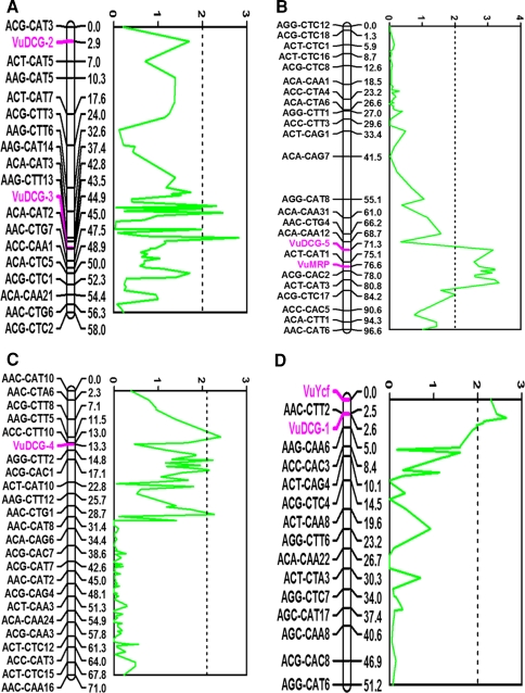 Fig. 1