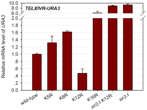 Figure 7