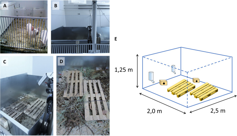 FIGURE 1