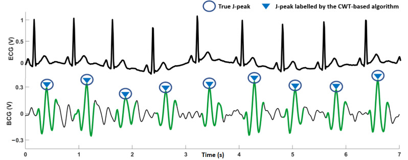 Figure 7