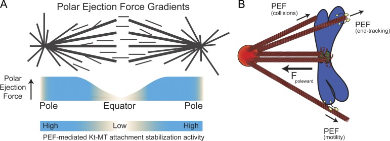 Figure 10.