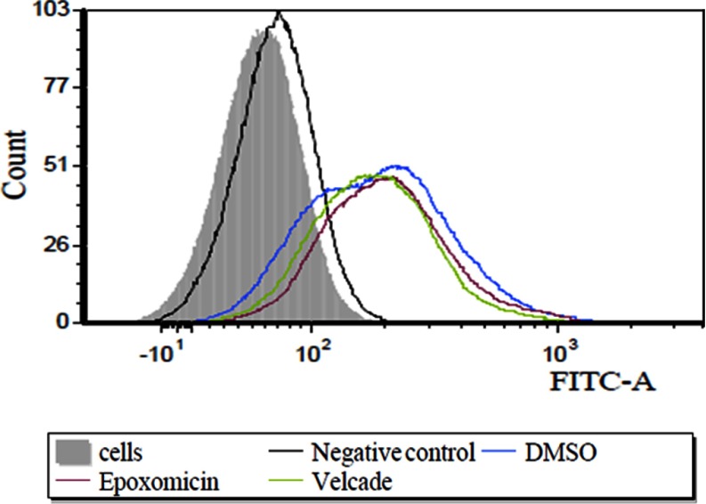 Fig. 1.