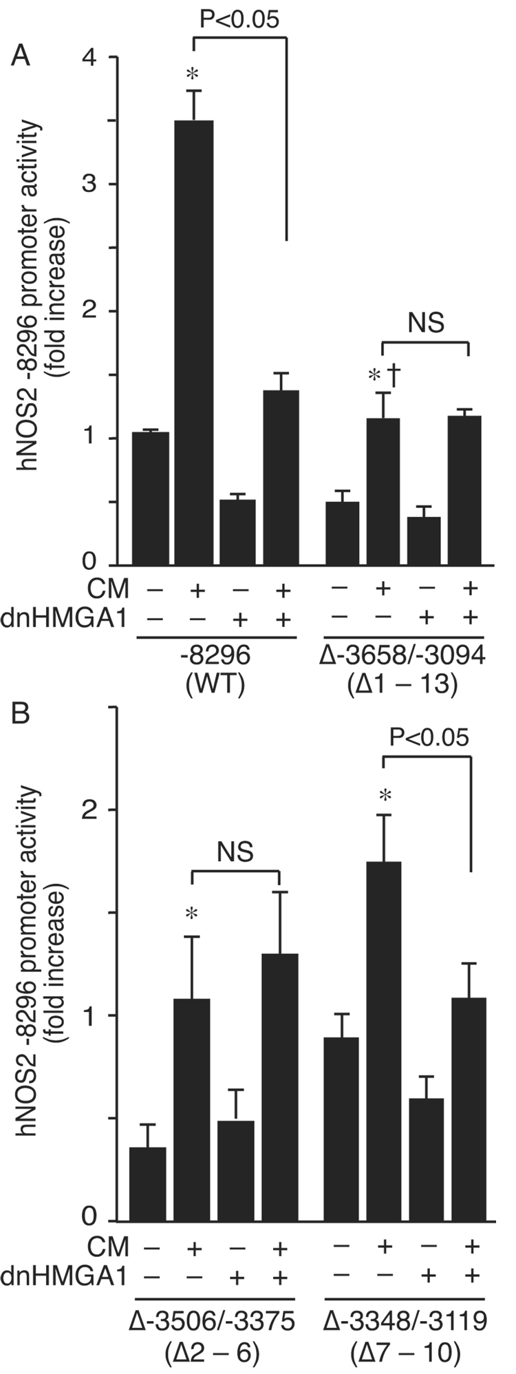 Fig. 5