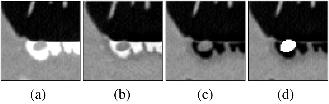 Fig. 5