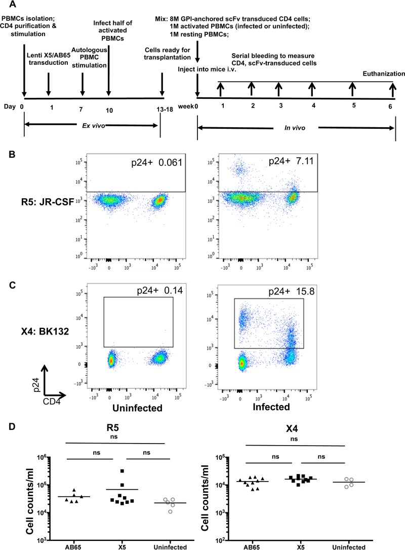 FIG 3