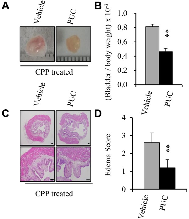 Fig 2.