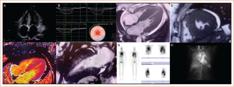 Figure 5: