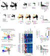 Extended Data Figure 8: