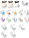 Extended Data Figure 5: