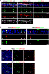 Extended Data Figure 4: