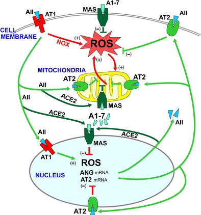 Fig. 9