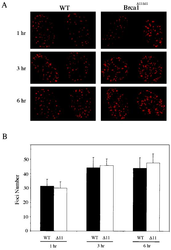 FIG. 7