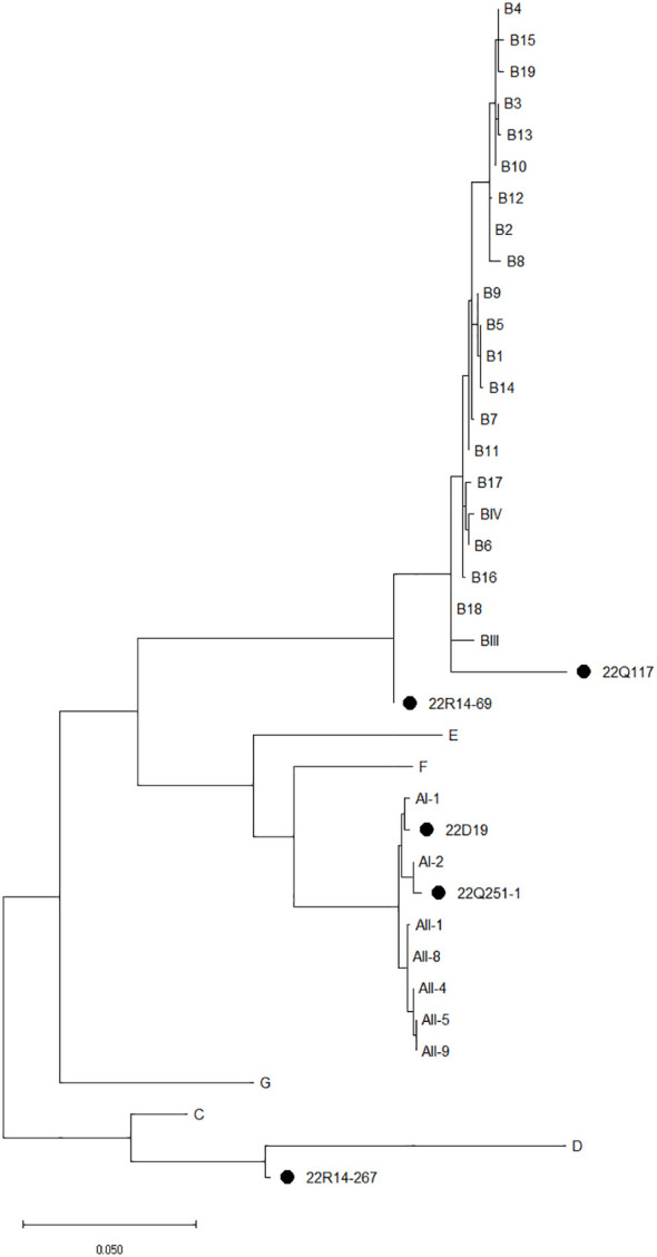 Figure 3