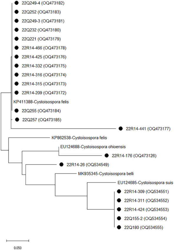 Figure 2