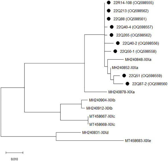 Figure 1