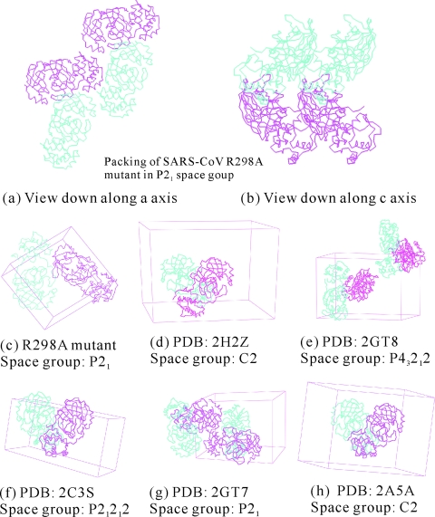 FIG. 1.