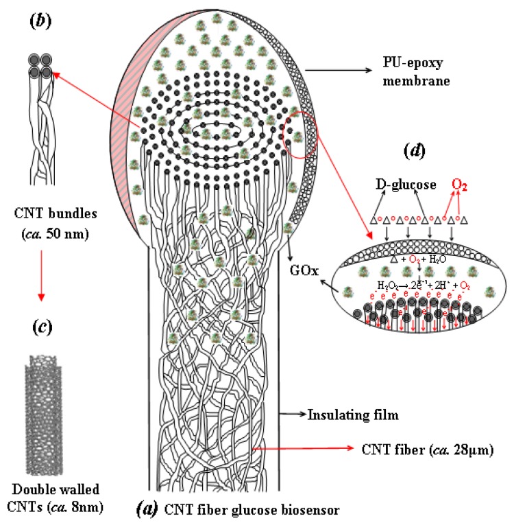 Figure 5.