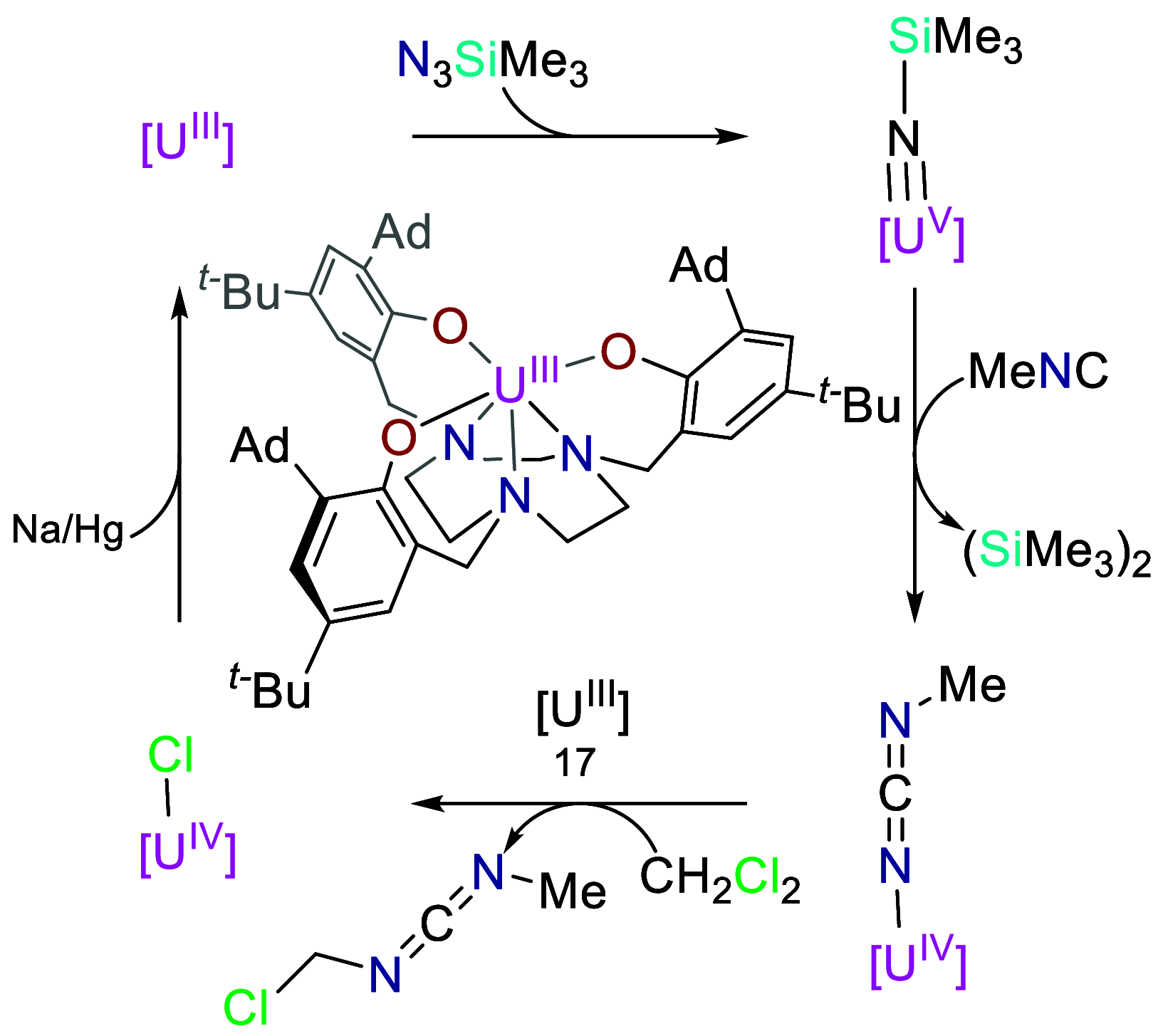 Figure 14