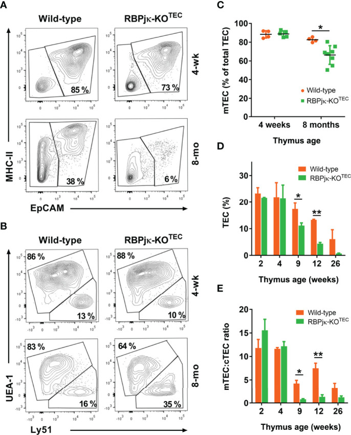 Figure 5