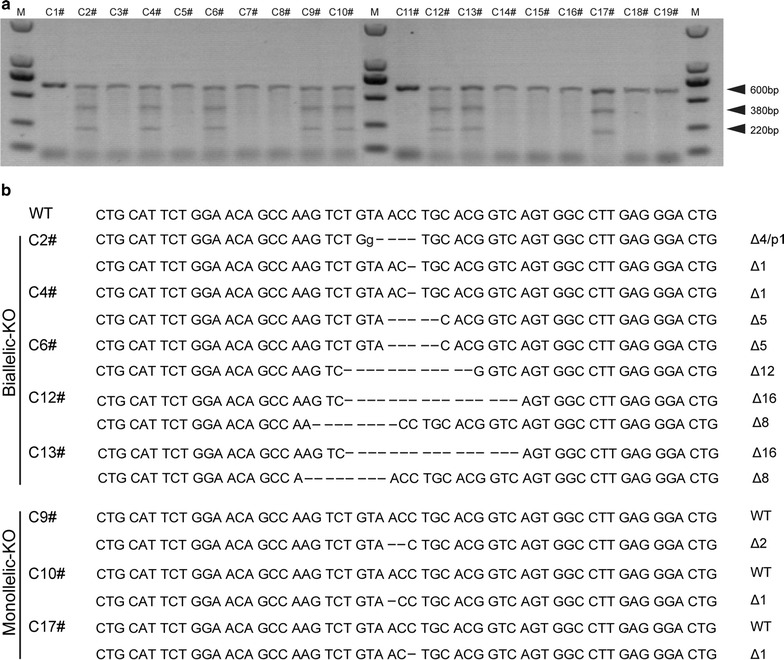 Fig. 2