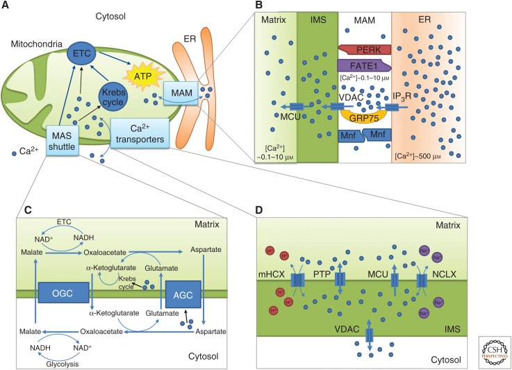 Figure 1.