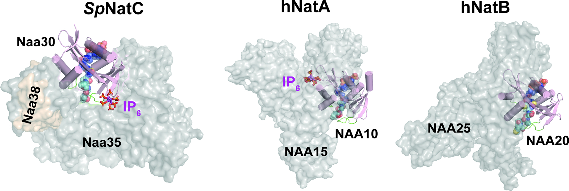 Figure 3.