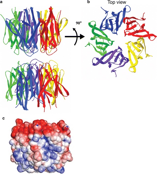 Fig. 3