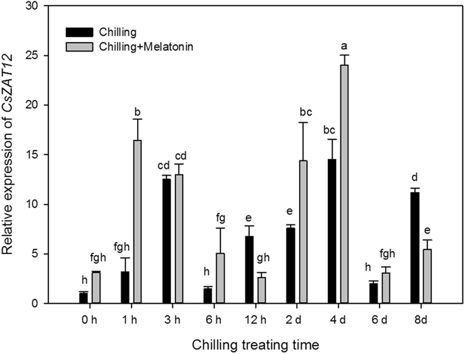 Figure 7