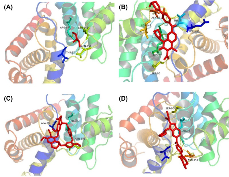 Figure 10