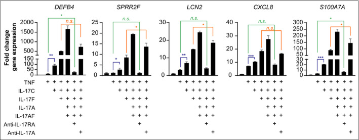 Figure 5