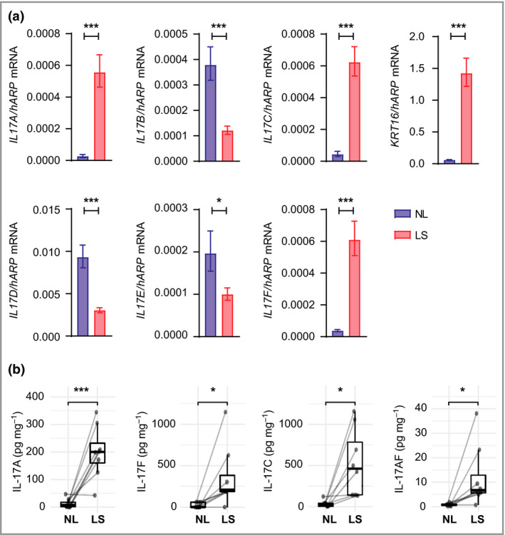 Signalling of multiple interleukin (IL)‐17 family cytokines via IL‐17 ...