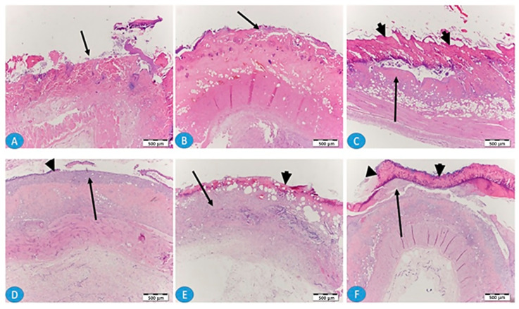 Figure 10