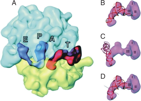 Fig. 1.