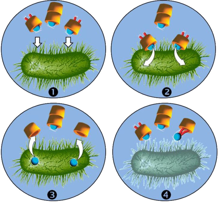 Scheme 6