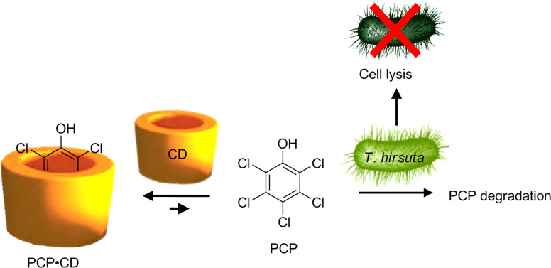 Scheme 3