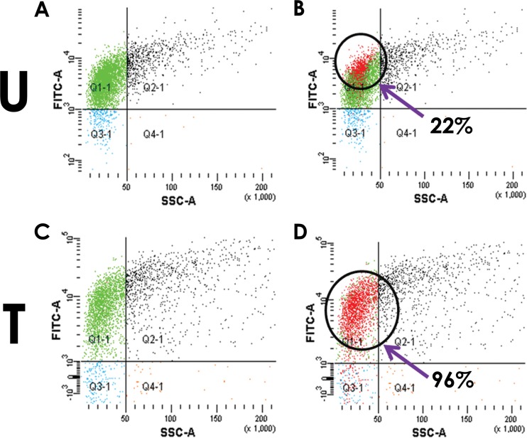 FIG 3