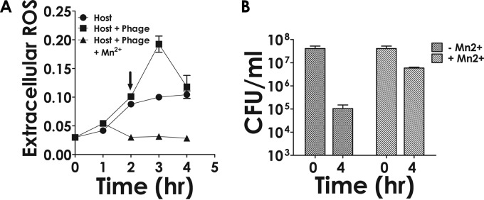 FIG 6