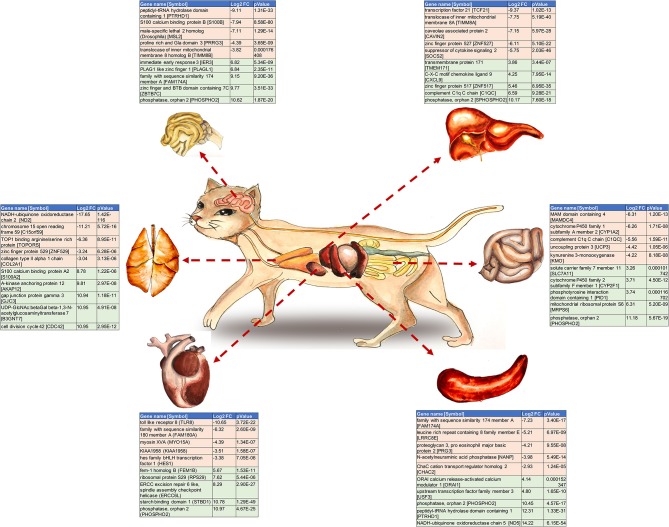 Graphical Abstract