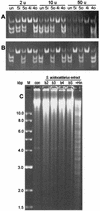 FIG. 3.