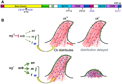 Fig. 7.