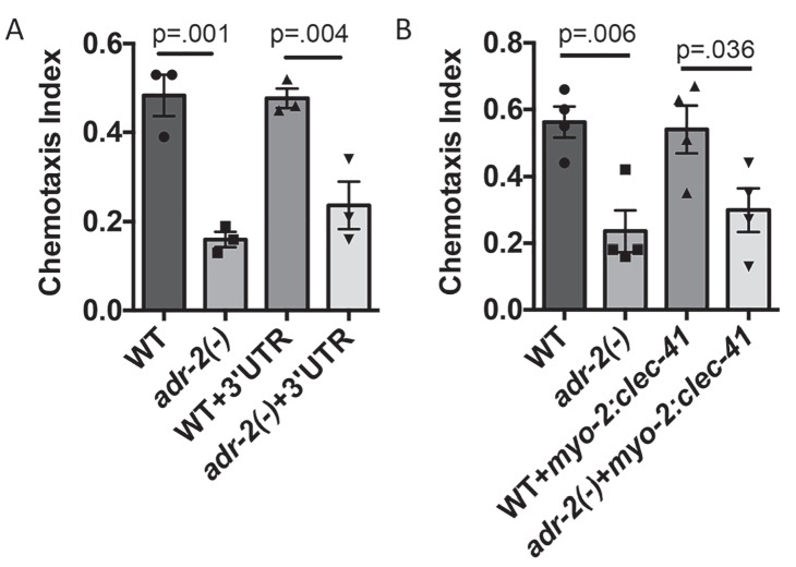 Figure 5—figure supplement 1.