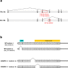 Figure 4—figure supplement 1.