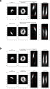 Figure 1—figure supplement 2.