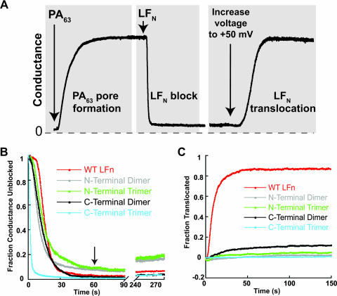 FIG. 2.