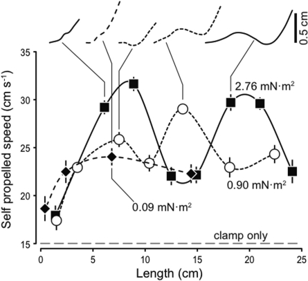 Fig. 9