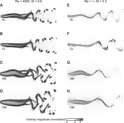 Fig. 7